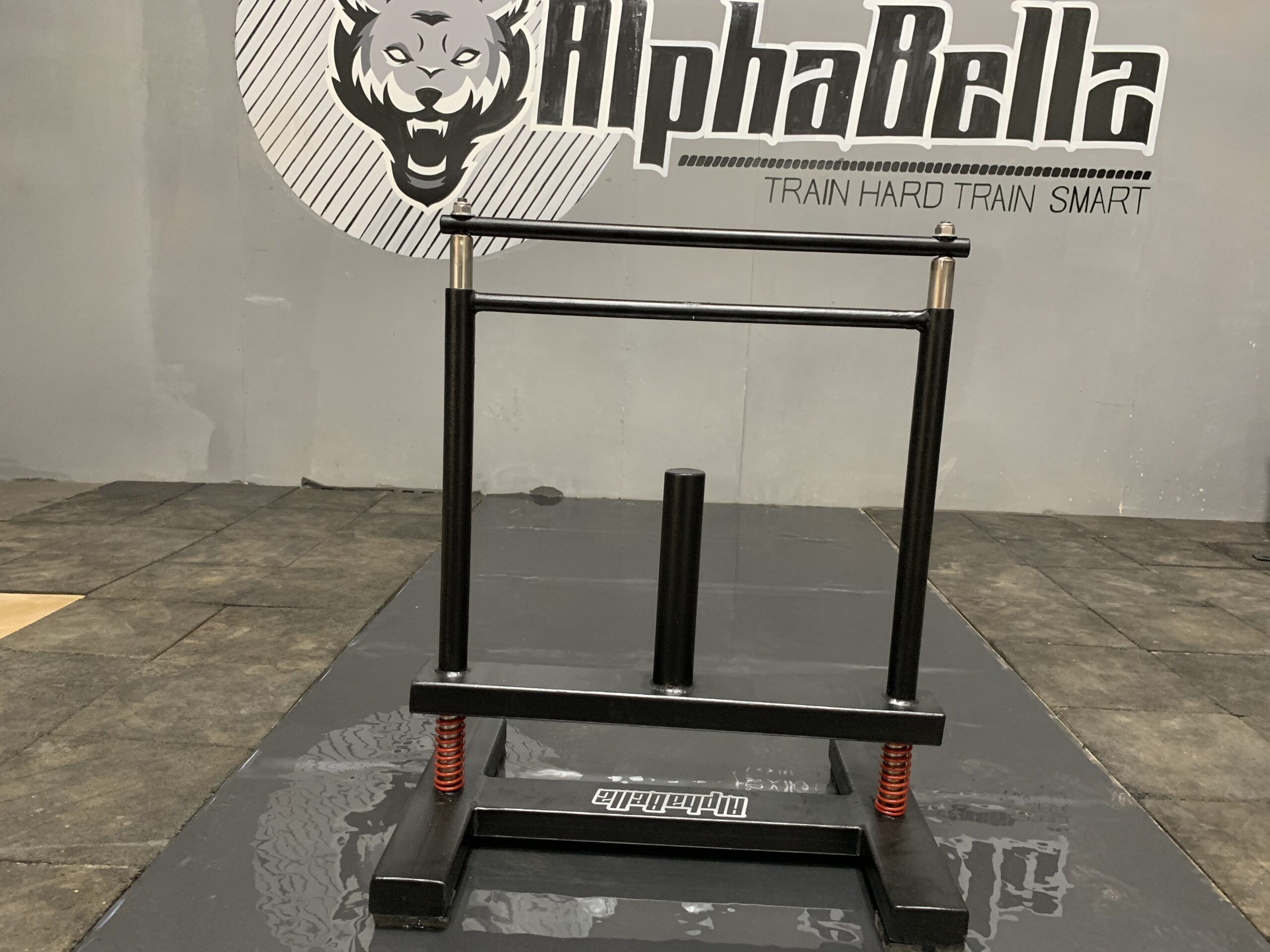 6F231662-2820-484C-9343-B128DA3B41B5