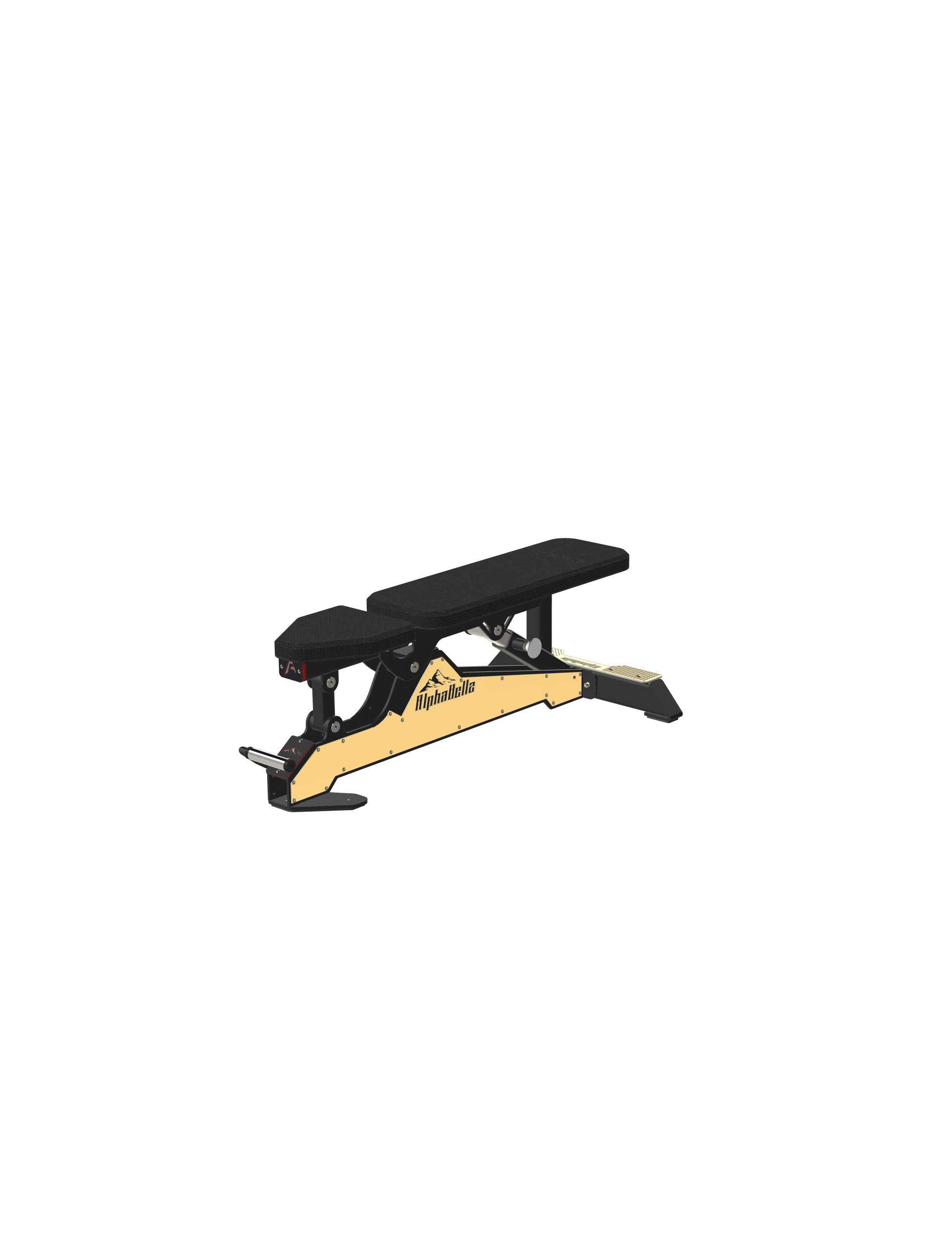 AFI The Mountainers 1