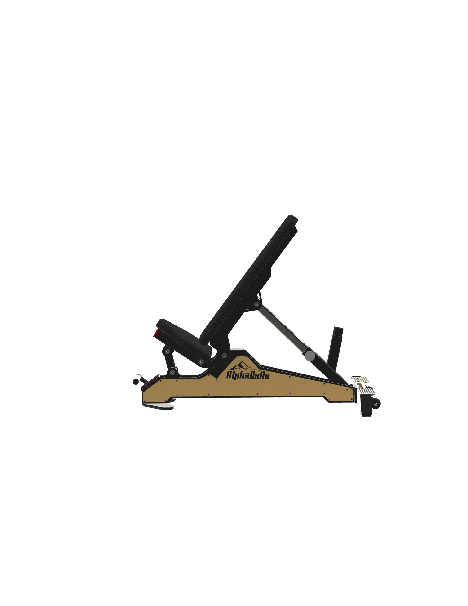 AFI The Mountainers 3