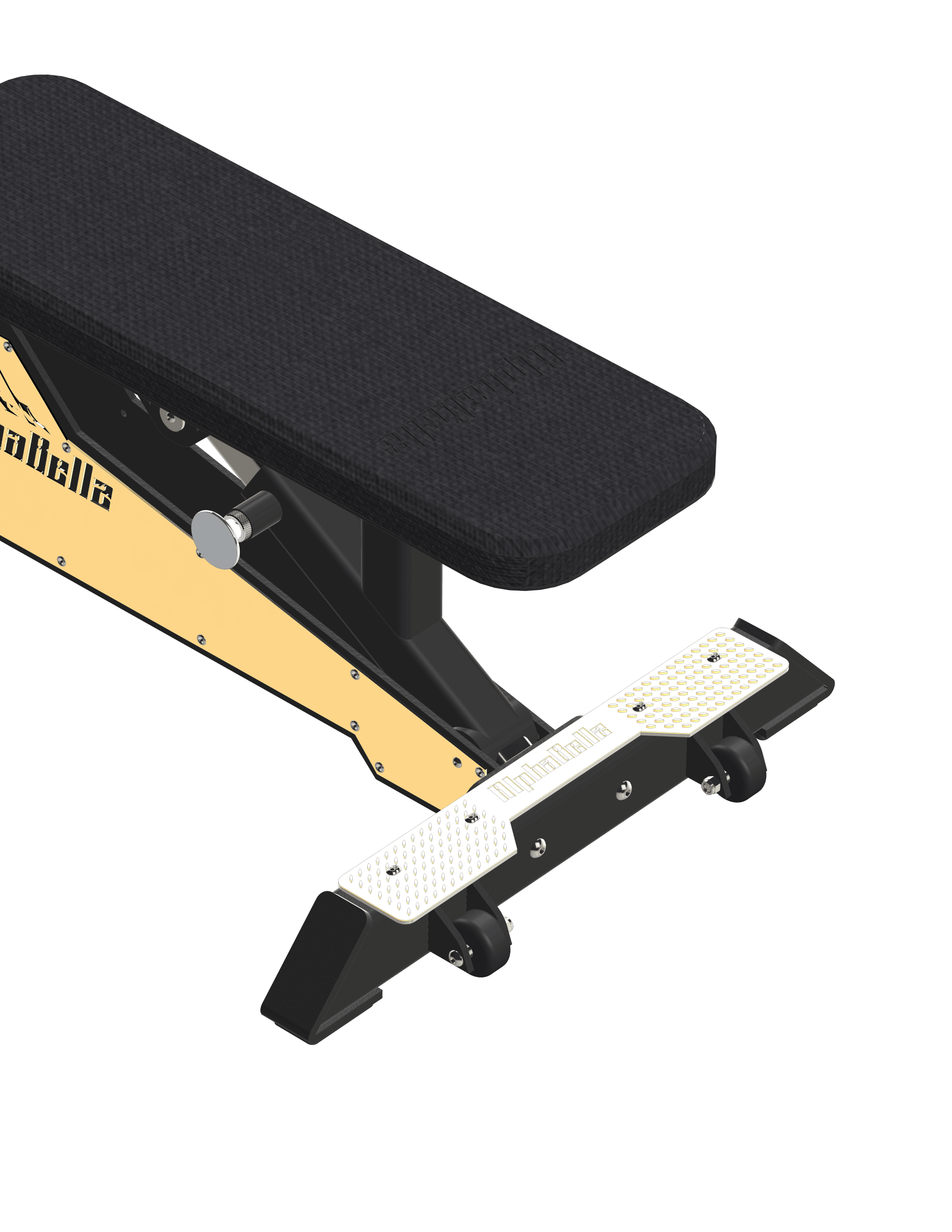 AFI The Mountainers 5